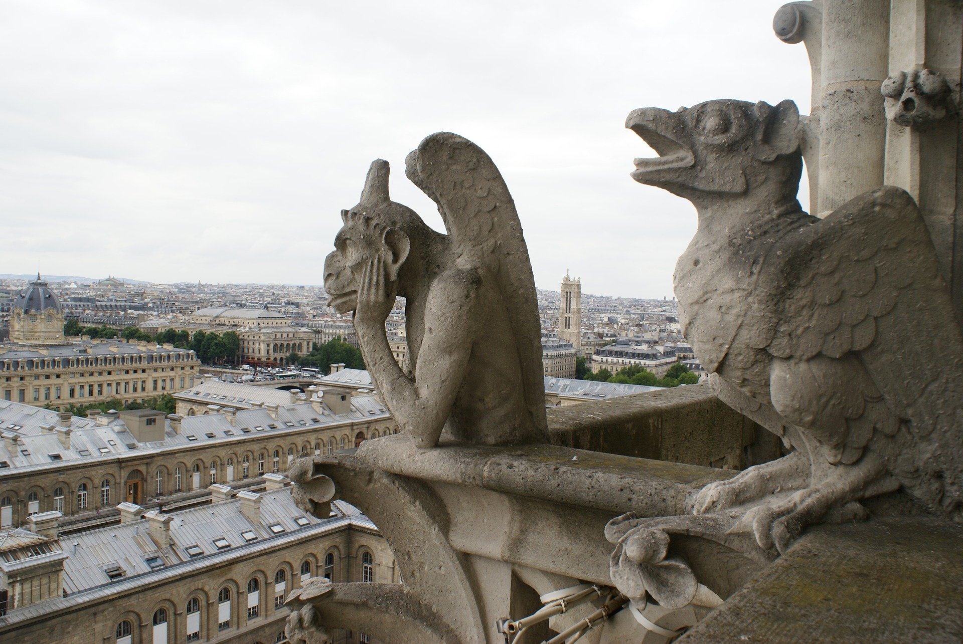 Les vraies-fausses gargouilles de Notre-Dame